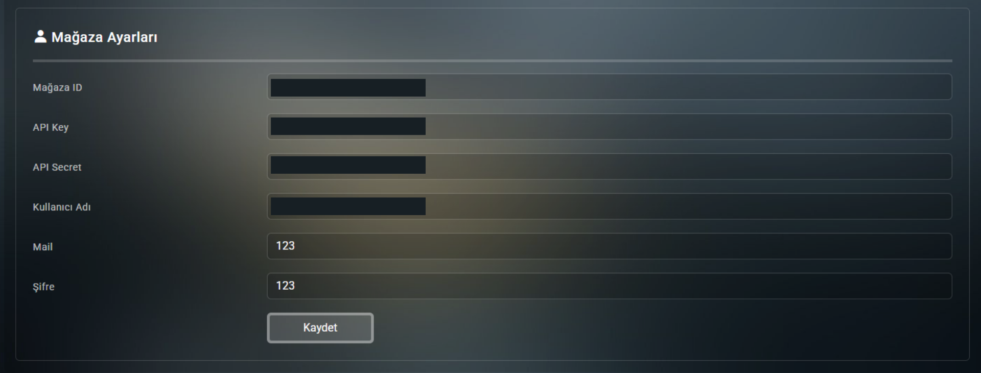 Mağaza API Görseli